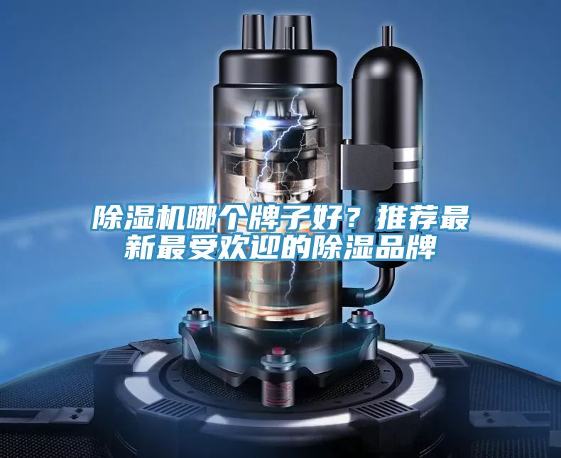 榴莲视频官网APP哪個牌子好？推薦最新最受歡迎的除濕品牌
