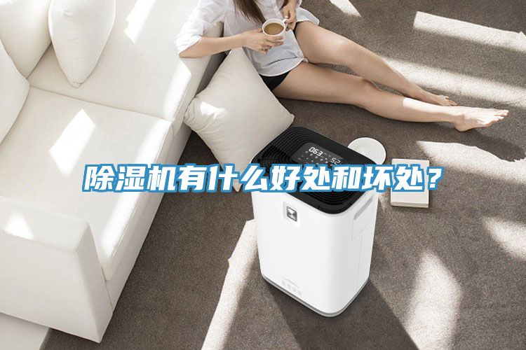 榴莲视频官网APP有什麽好處和壞處？