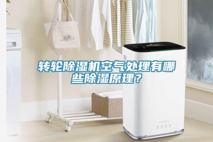 轉輪榴莲视频官网APP空氣處理有哪些除濕原理？
