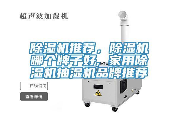 榴莲视频官网APP推薦，榴莲视频官网APP哪個牌子好, 家用榴莲视频官网APP抽濕機品牌推薦