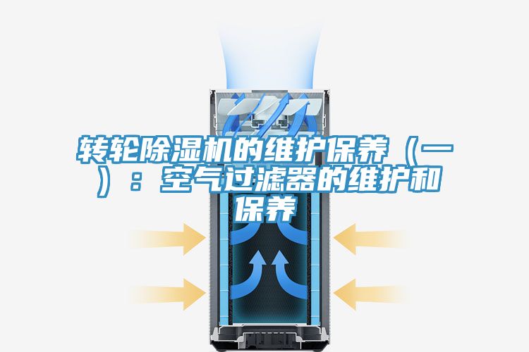 轉輪榴莲视频官网APP的維護保養（一）：空氣過濾器的維護和保養