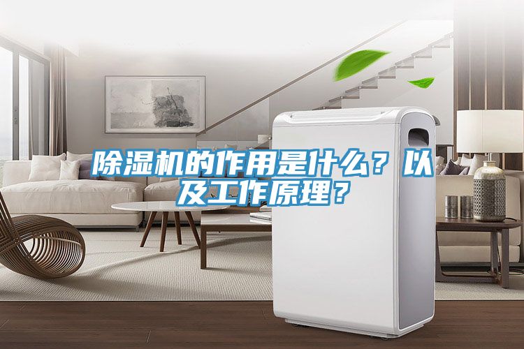 榴莲视频官网APP的作用是什麽？以及工作原理？