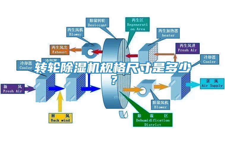 轉輪榴莲视频官网APP規格尺寸是多少？