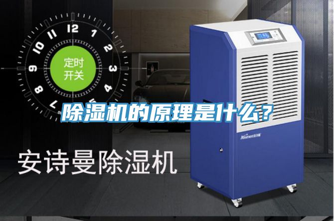 榴莲视频官网APP的原理是什麽？