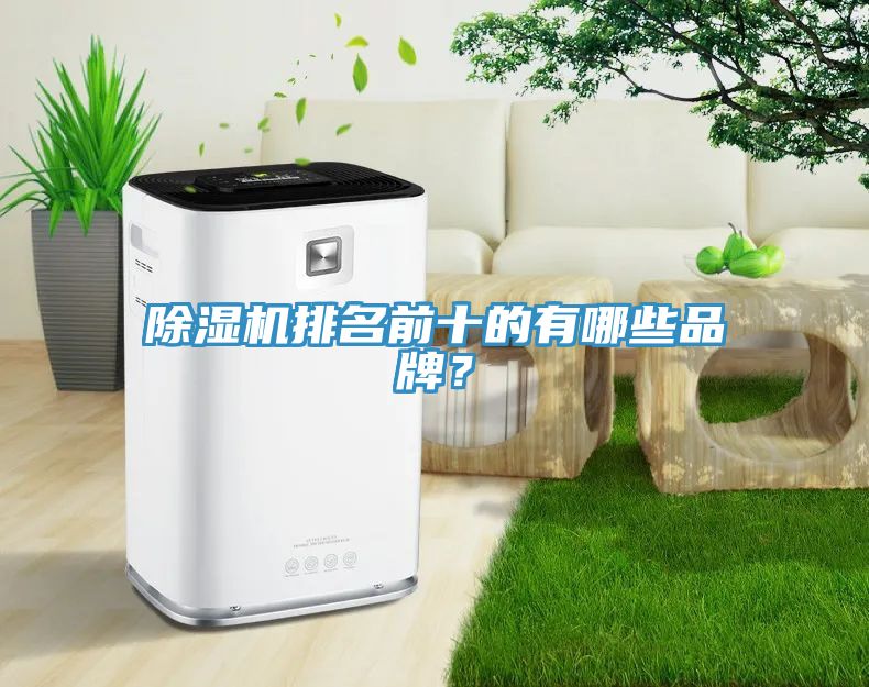 榴莲视频官网APP排名前十的有哪些品牌？