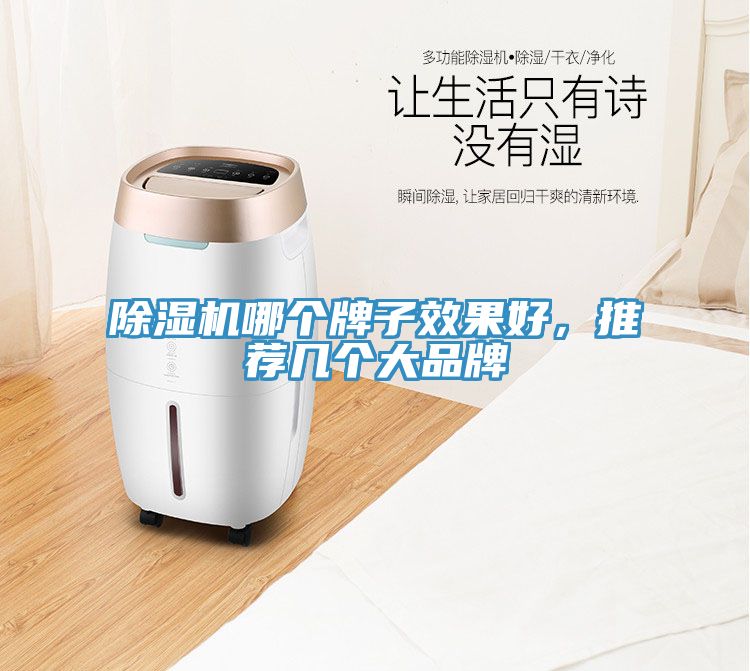榴莲视频官网APP哪個牌子效果好，推薦幾個大品牌