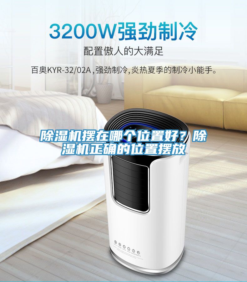 榴莲视频官网APP擺在哪個位置好？榴莲视频官网APP正確的位置擺放