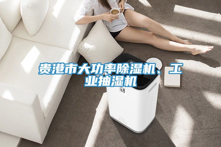貴港市大功率榴莲视频官网APP、工業抽濕機