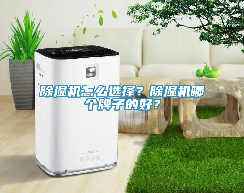 榴莲视频官网APP怎麽選擇？榴莲视频官网APP哪個牌子的好？