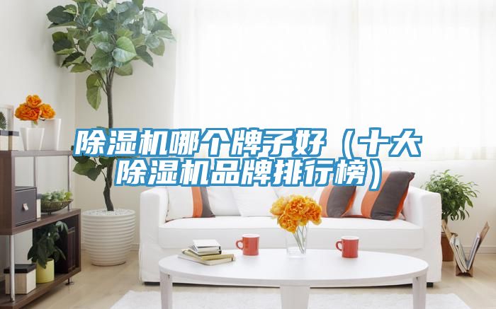 榴莲视频官网APP哪個牌子好（十大榴莲视频官网APP品牌排行榜）