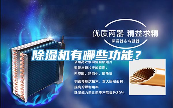 榴莲视频官网APP有哪些功能？