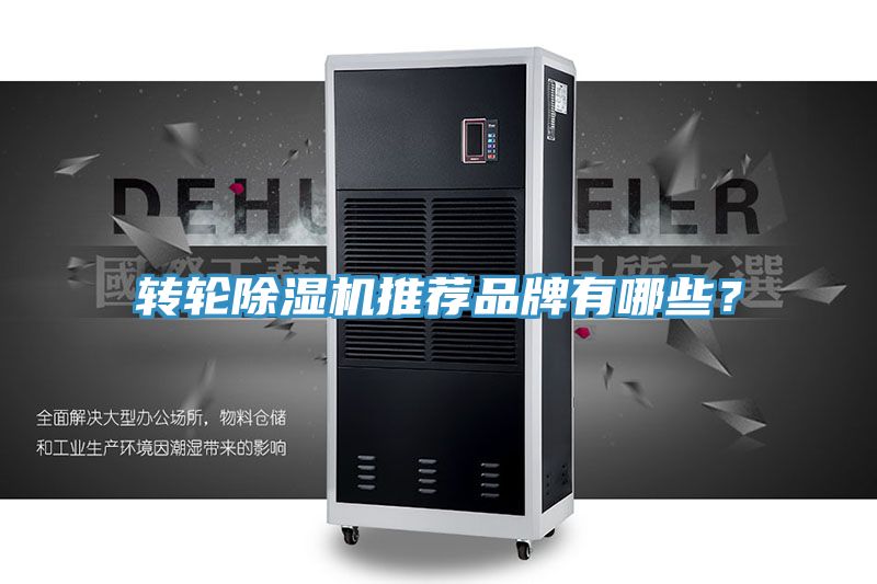 轉輪榴莲视频官网APP推薦品牌有哪些？