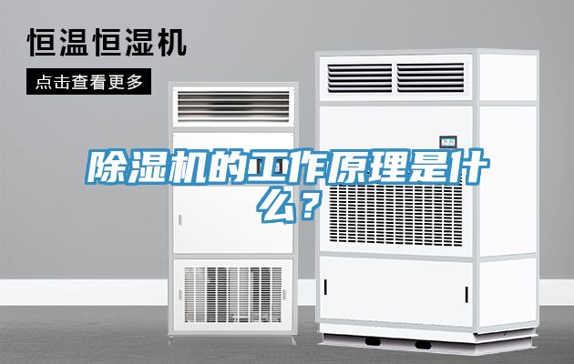 榴莲视频官网APP的工作原理是什麽？