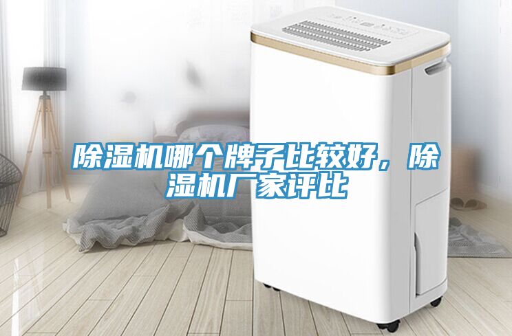 榴莲视频官网APP哪個牌子比較好，榴莲视频官网APP廠家評比