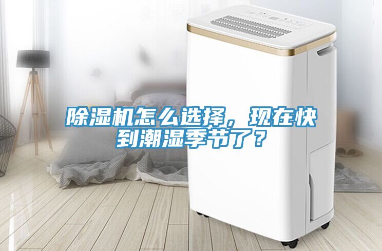 榴莲视频官网APP怎麽選擇，現在快到潮濕季節了？