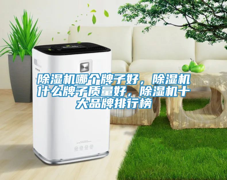 榴莲视频官网APP哪個牌子好，榴莲视频官网APP什麽牌子質量好，榴莲视频官网APP十大品牌排行榜