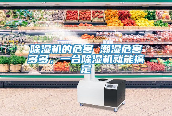 榴莲视频官网APP的危害 潮濕危害多多，一台榴莲视频官网APP就能搞定