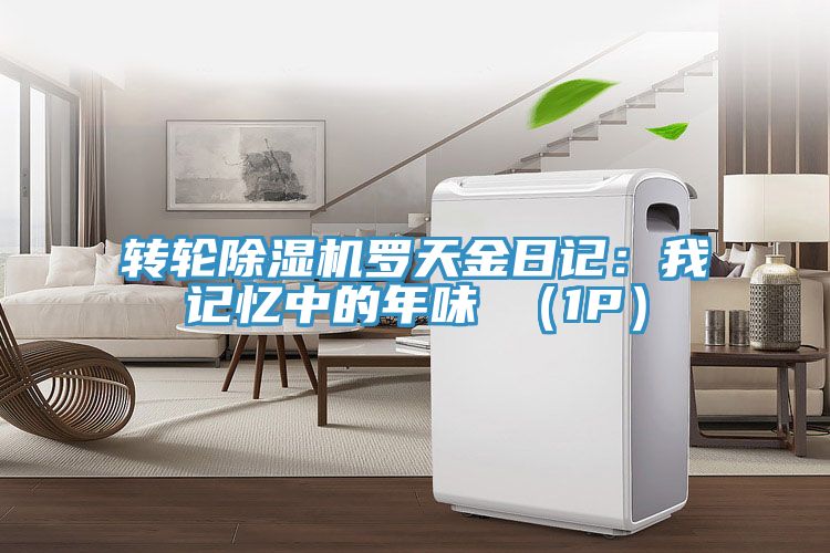 轉輪榴莲视频官网APP羅天金日記：我記憶中的年味 （1P）