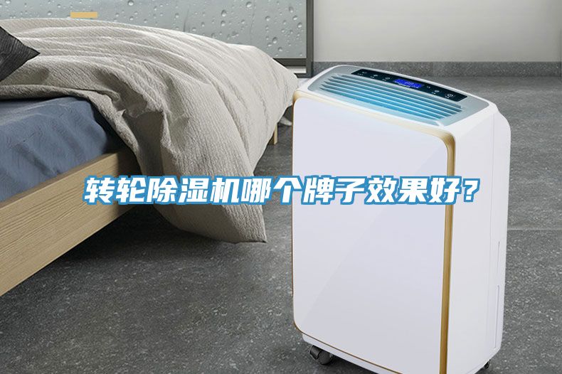 轉輪榴莲视频官网APP哪個牌子效果好？