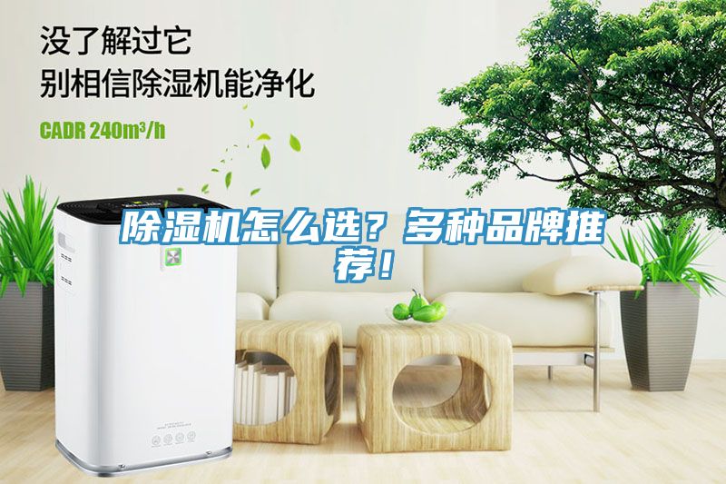 榴莲视频官网APP怎麽選？多種品牌推薦！