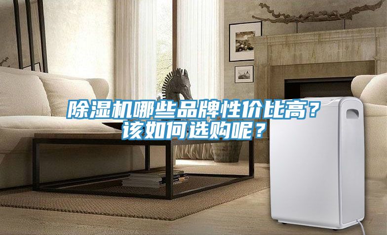 榴莲视频官网APP哪些品牌性價比高？該如何選購呢？