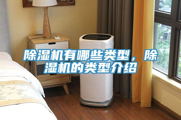 榴莲视频官网APP有哪些類型，榴莲视频官网APP的類型介紹
