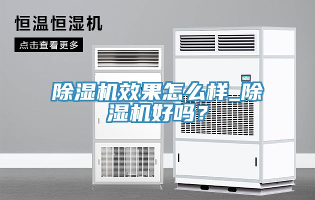 榴莲视频官网APP效果怎麽樣_榴莲视频官网APP好嗎？