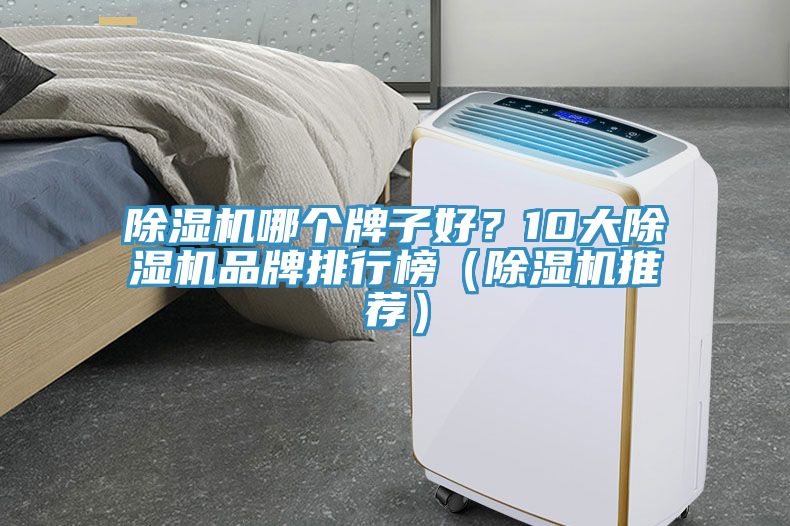 榴莲视频官网APP哪個牌子好？10大榴莲视频官网APP品牌排行榜（榴莲视频官网APP推薦）
