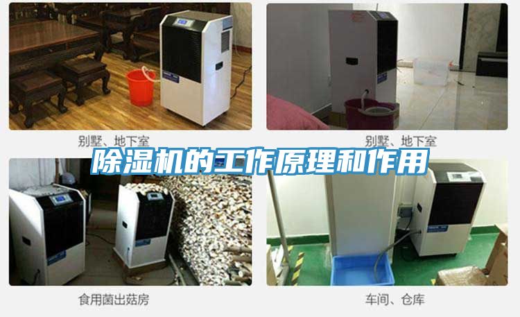 榴莲视频官网APP的工作原理和作用