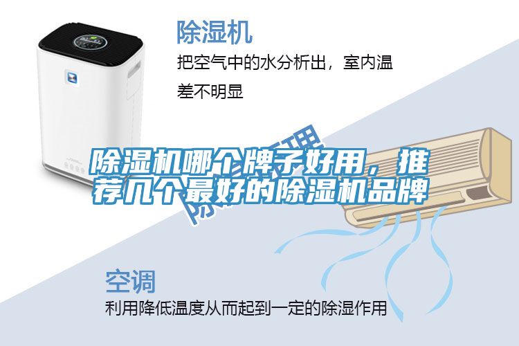 榴莲视频官网APP哪個牌子好用，推薦幾個最好的榴莲视频官网APP品牌