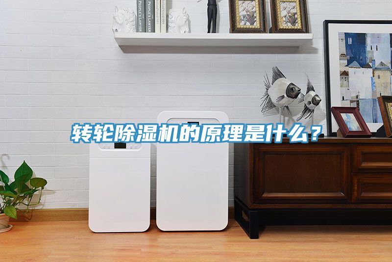 轉輪榴莲视频官网APP的原理是什麽？
