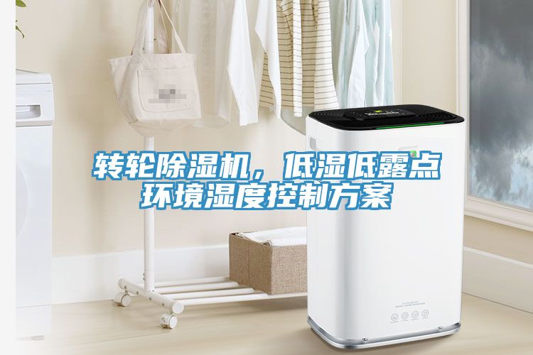 轉輪榴莲视频官网APP，低濕低露點環境濕度控製方案