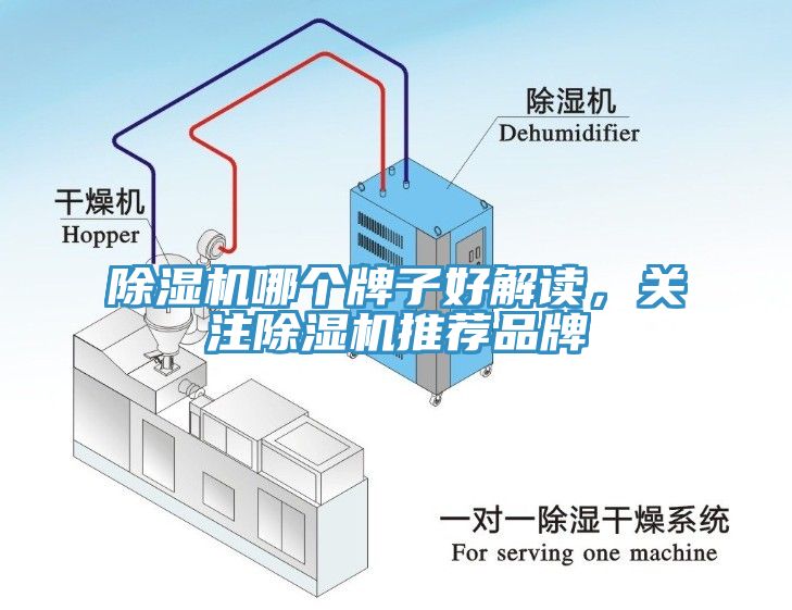 榴莲视频官网APP哪個牌子好解讀，關注榴莲视频官网APP推薦品牌