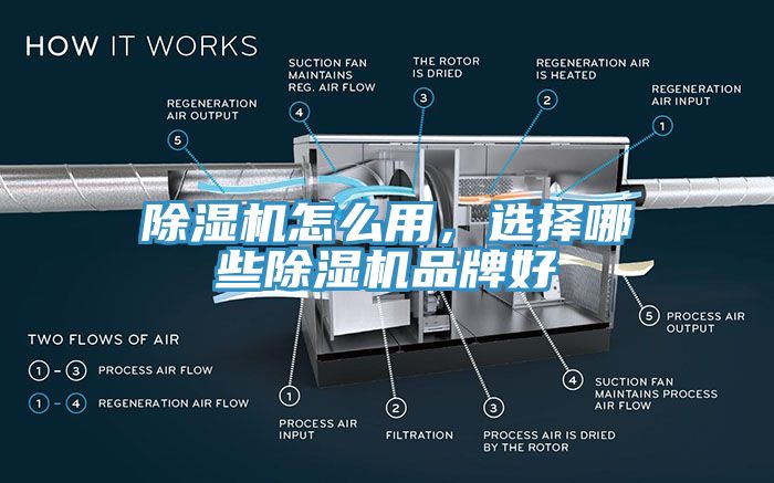 榴莲视频官网APP怎麽用，選擇哪些榴莲视频官网APP品牌好