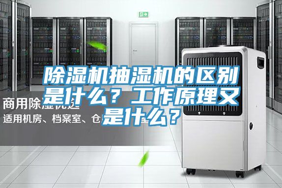 榴莲视频官网APP抽濕機的區別是什麽？工作原理又是什麽？