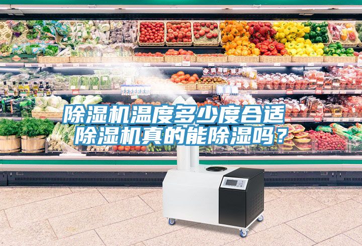 榴莲视频官网APP溫度多少度合適 榴莲视频官网APP真的能除濕嗎？