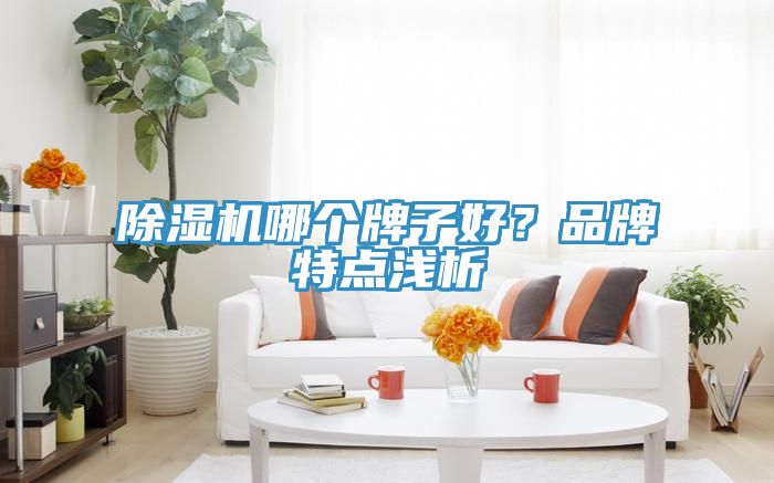 榴莲视频官网APP哪個牌子好？品牌特點淺析