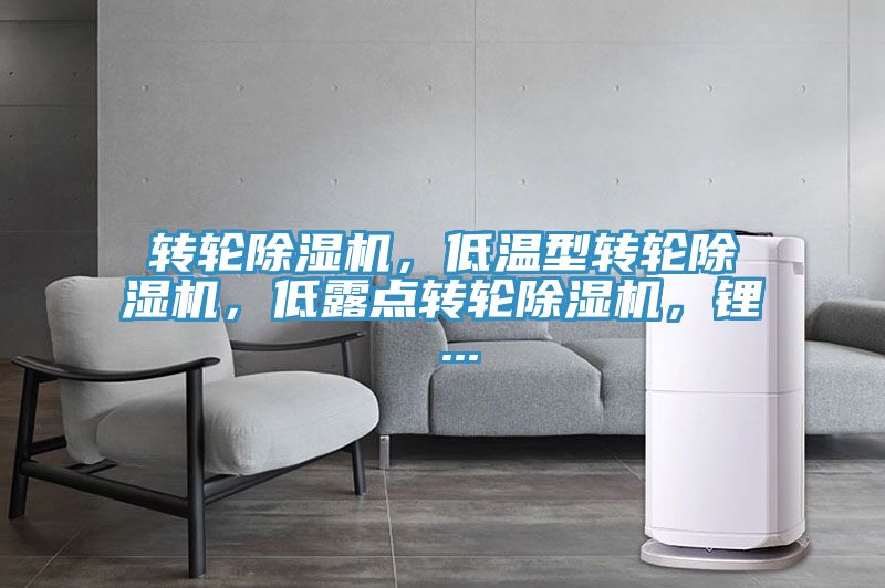 轉輪榴莲视频官网APP，低溫型轉輪榴莲视频官网APP，低露點轉輪榴莲视频官网APP，鋰 ...