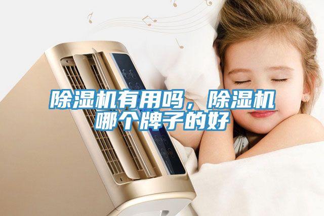 榴莲视频官网APP有用嗎，榴莲视频官网APP哪個牌子的好