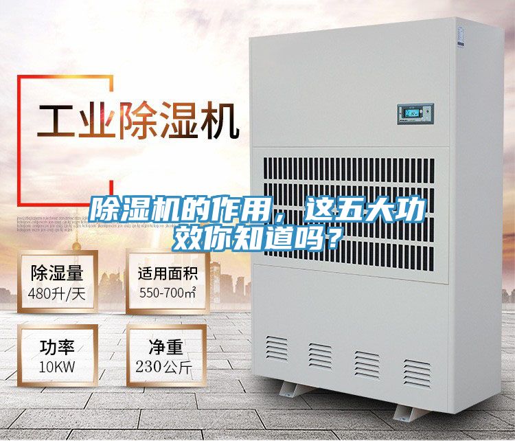 榴莲视频官网APP的作用，這五大功效你知道嗎？